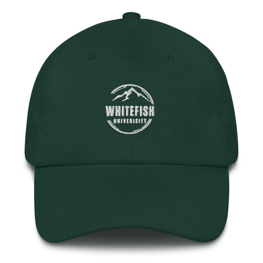 Mountain 2 Dad hat